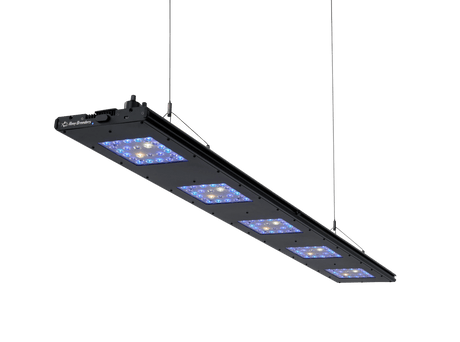 Meridian 63 - Reef Breeders