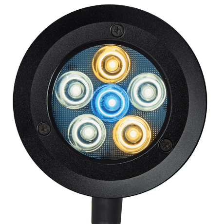 ReefBreeders Pico LED Freshwater + Display Refugium