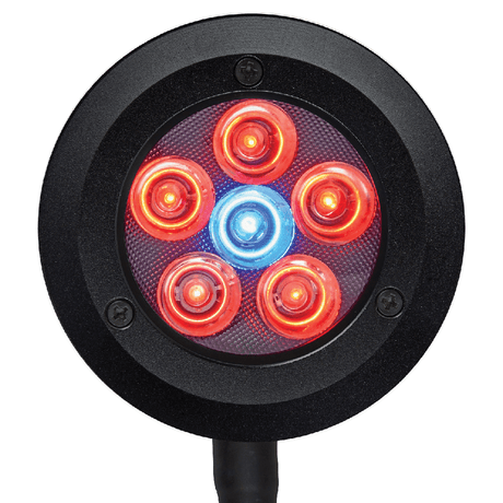 ReefBreeders Pico LED Refugium