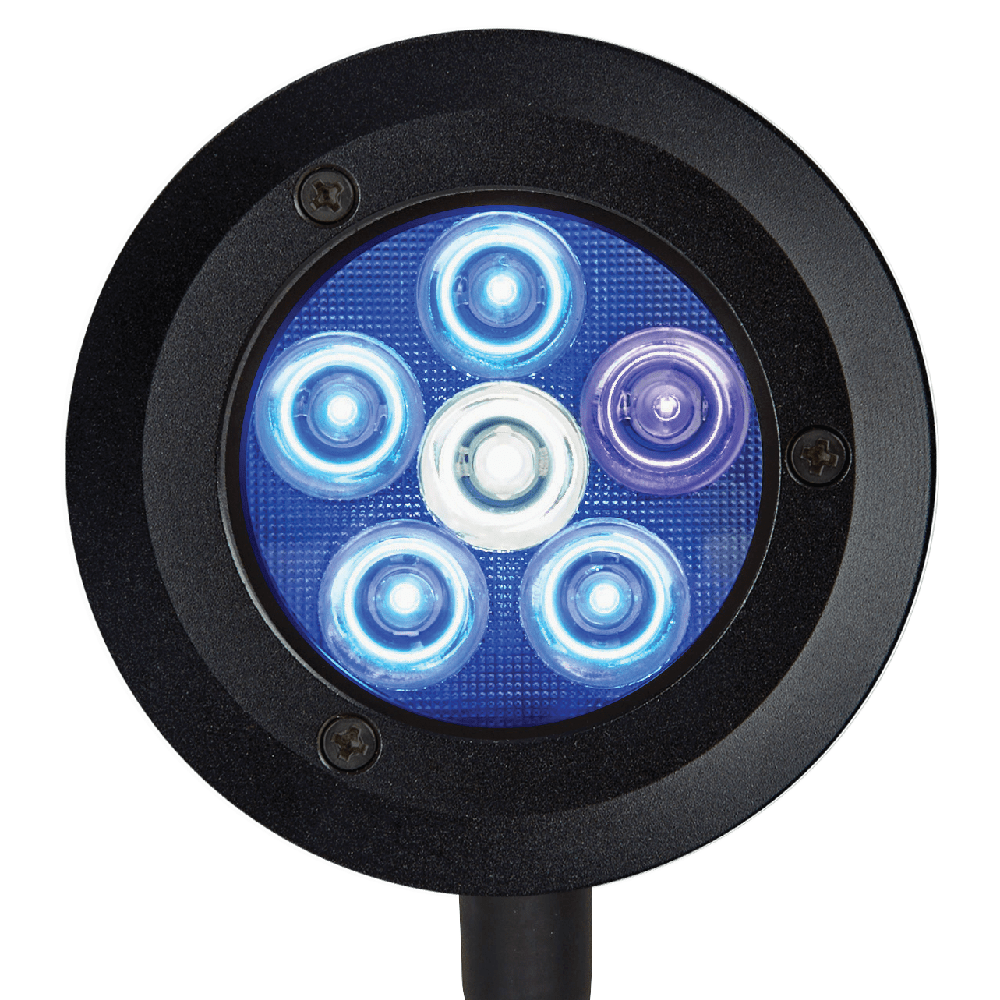 ReefBreeders Pico LED Saltwater Reef