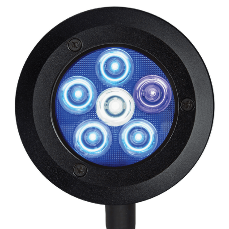ReefBreeders Pico LED Saltwater Reef