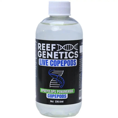 Live Apocyclops Copepods (Apocyclops panamensi) - Reef Genetics