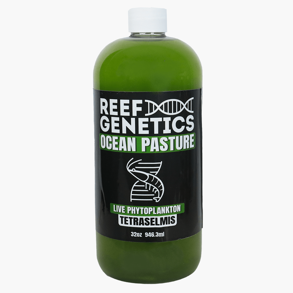 Live Green Phytoplankton (Tetraselmis chui) - Reef Genetics