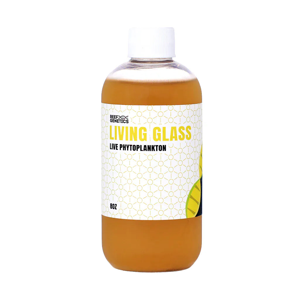 Live Living Glass Phytoplankton () - Reef Genetics 8 oz