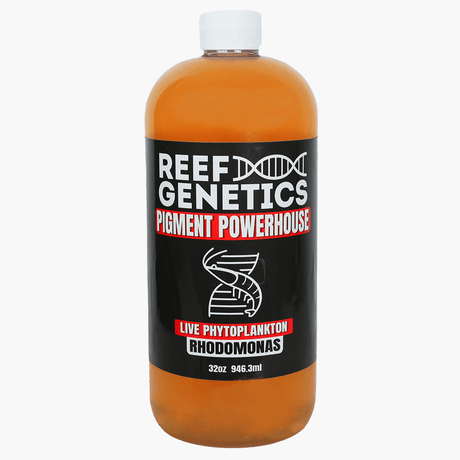 Live Red Phytoplankton (Rhodomonas salina) - Reef Genetics