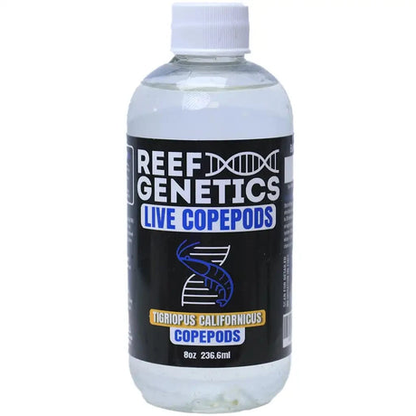 Live Tigriopus Copepods (Tigriopus californicus) - Reef Genetics