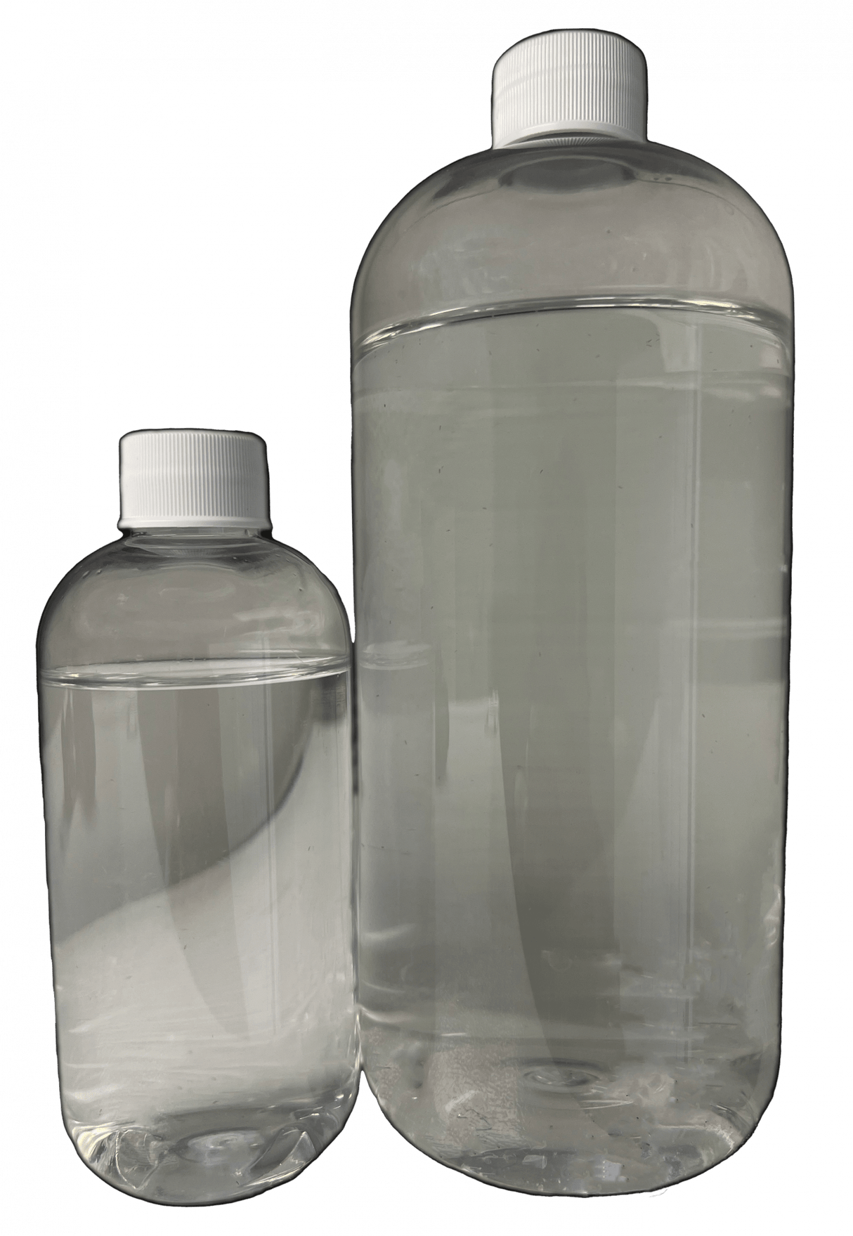 Moina Macropora (Saltwater Daphnia)