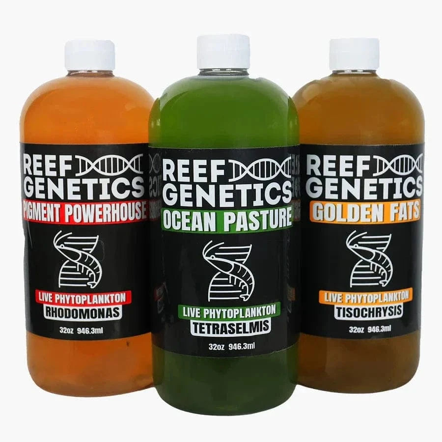 Phytoplankton Royale Flush Combo Pack (8oz) - Reef Genetics