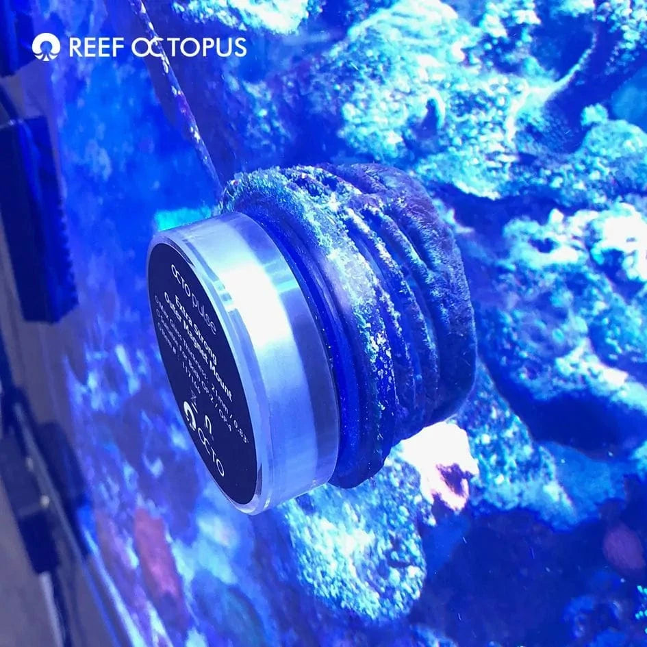 Octo Pulse Extra-Strong Magnet - Reef Octopus