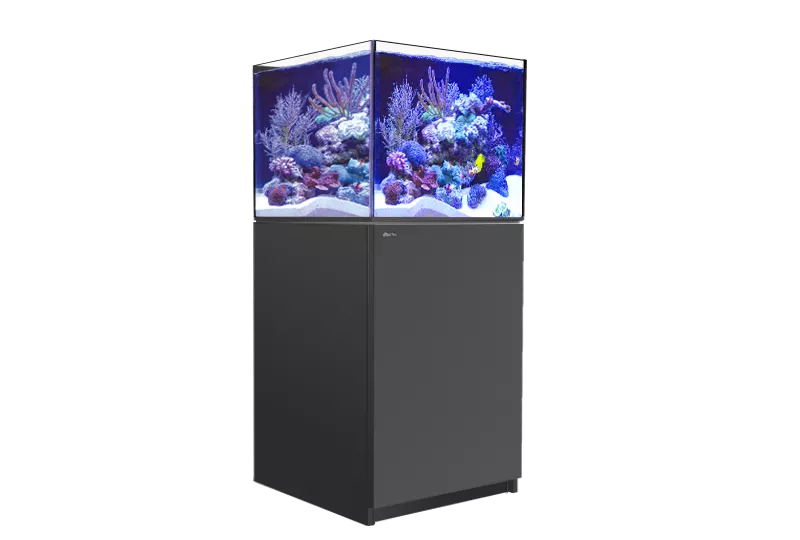 REEFER XL 200 G2+ - Red Sea - Red Sea