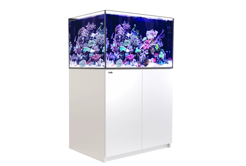 REEFER XL 300 G2+ - Red Sea - Red Sea