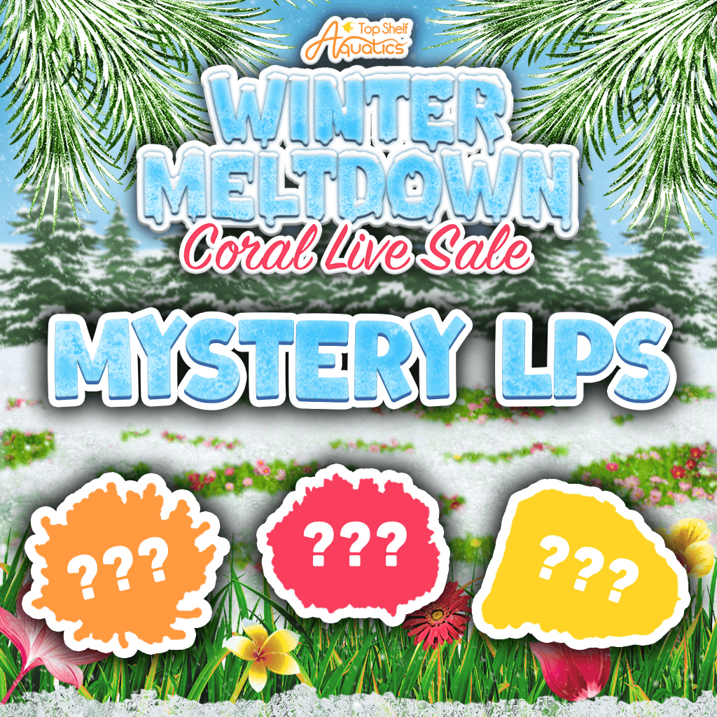 Mystery LPS Coral
