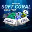 Mystery Soft Coral 4 Coral Frag Pack