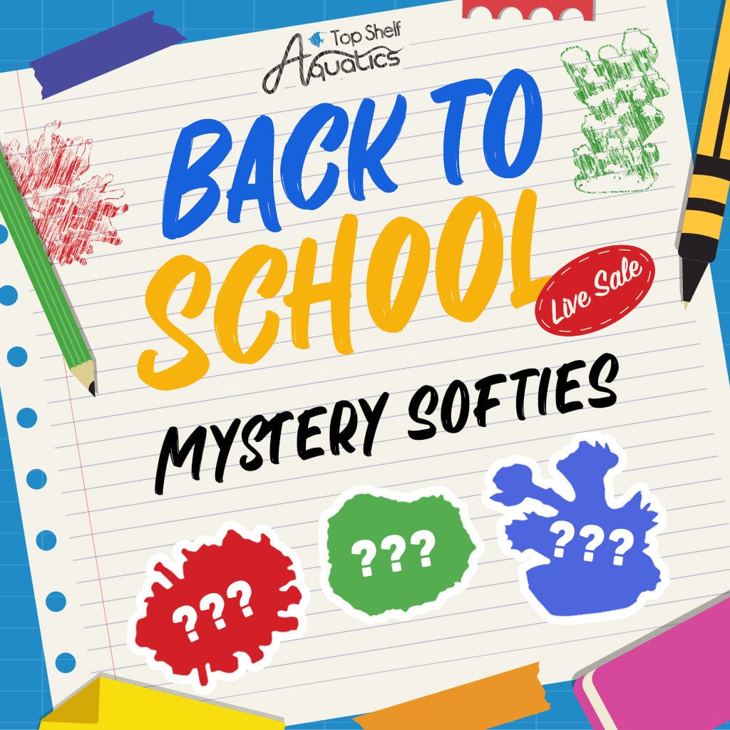 Mystery Softie Coral
