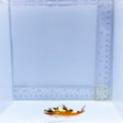 Tobacco Basslet (Serranus tabacarius)
