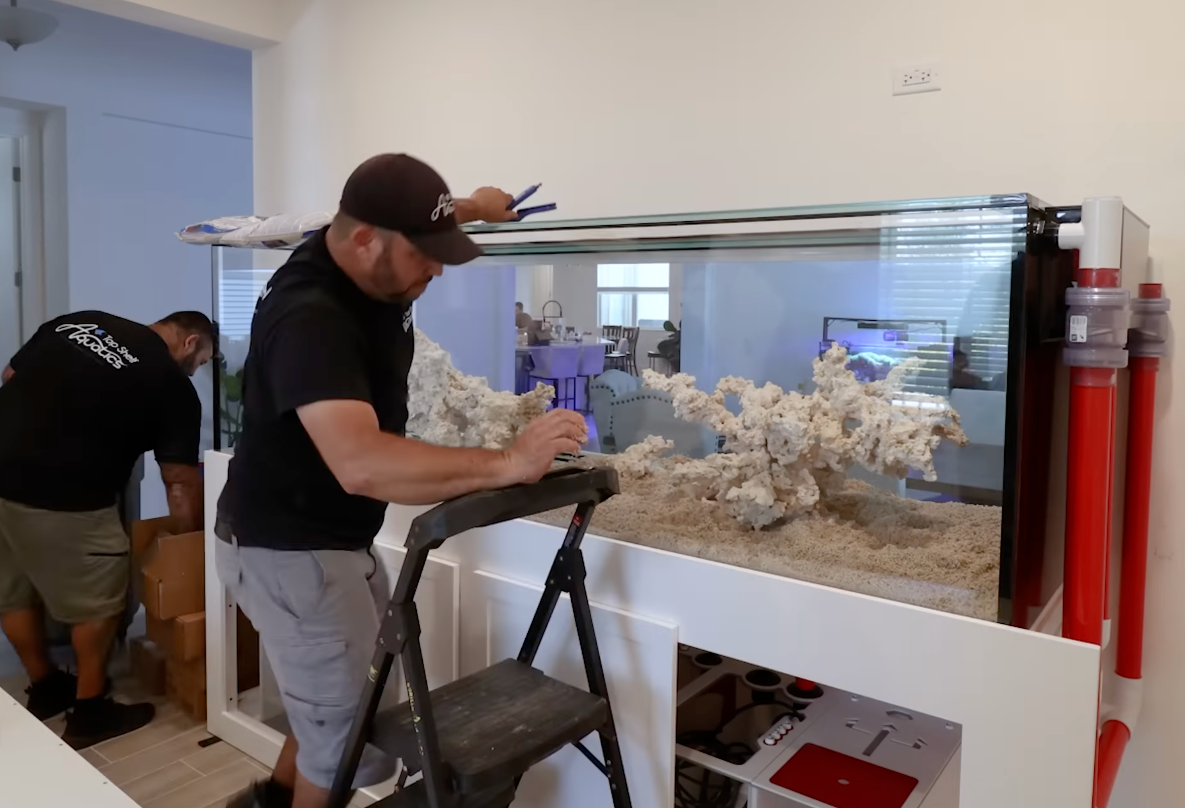 How to Choose the Best Custom Aquarium Installation Services