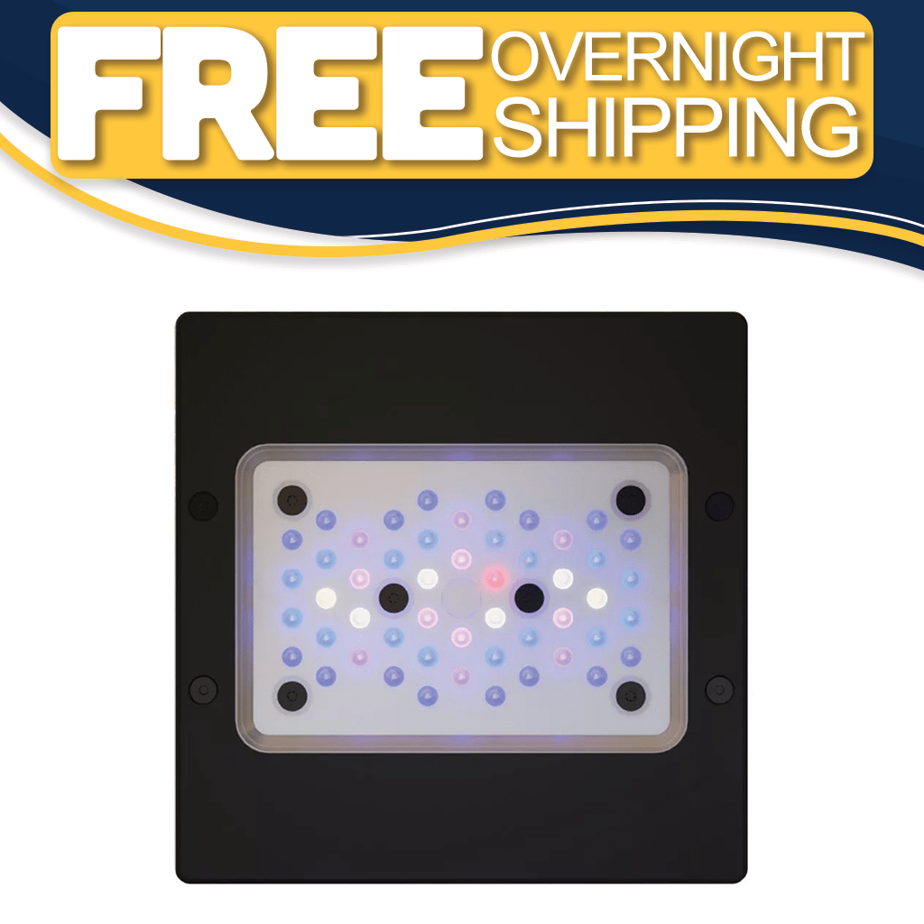 EcoTech Radion G6 Blue vs. Pro: Spectrum and Coral Lighting Compared - Top Shelf Aquatics