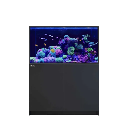 101-150 Gallon Aquariums