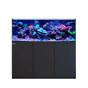 151-200+ Gallon Aquariums