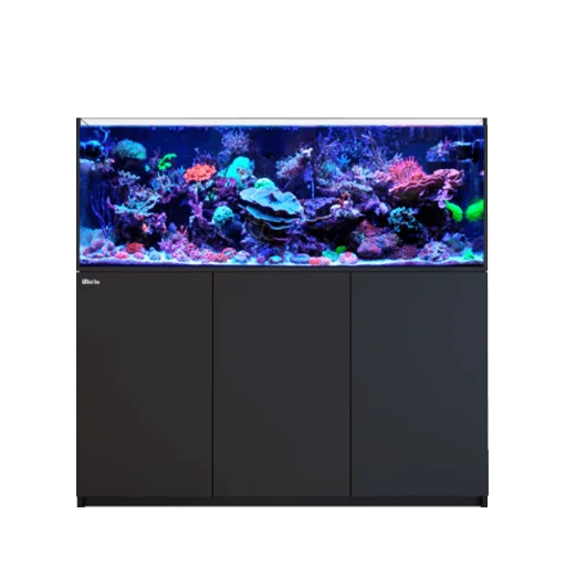151-200+ Gallon Aquariums