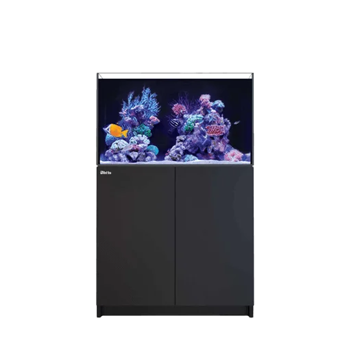 30-100 Gallon Aquariums