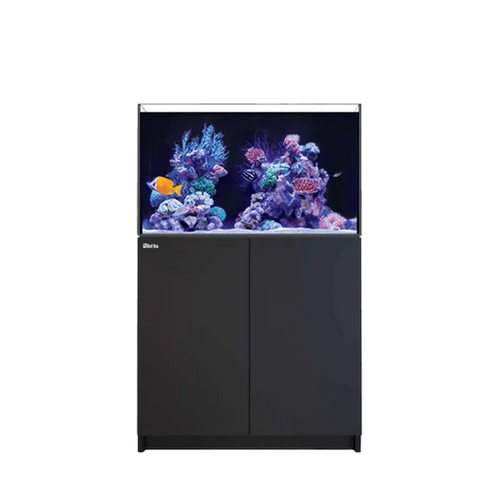 30-100 Gallon Aquariums