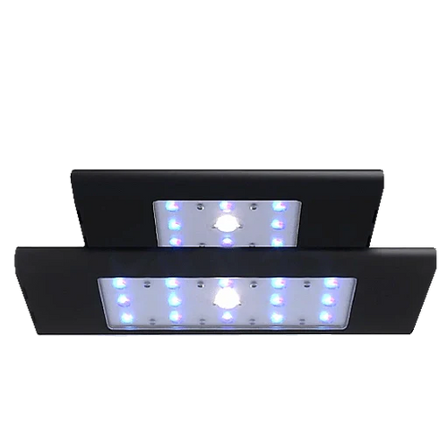 Aqua Illumination Lighting