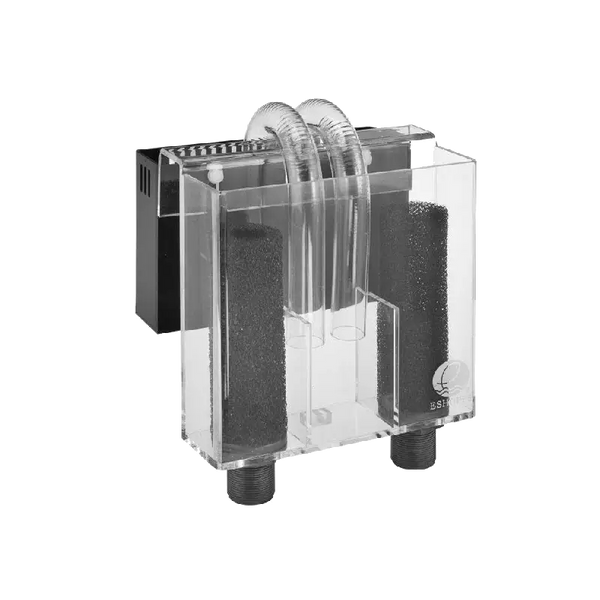 Overflow Box