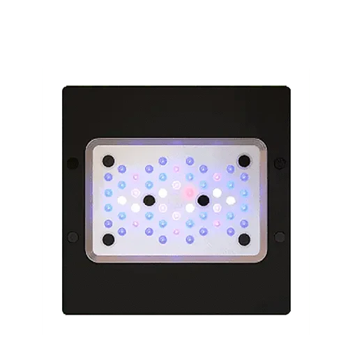 Aquarium Supplies