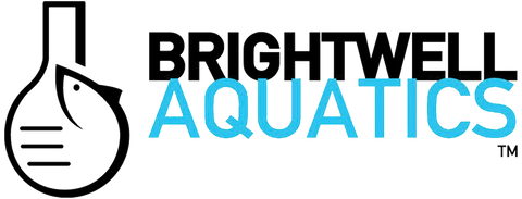 Brightwell Aquatics – Top Shelf Aquatics