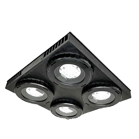 Dalua Lighting