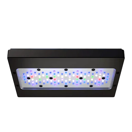 Ecotech Marine Radion Lighting