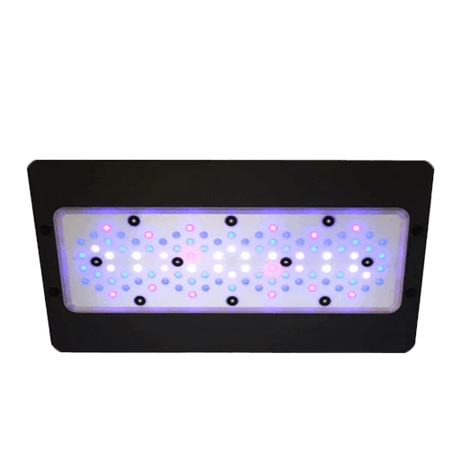 Ecotech Marine Radion Lighting