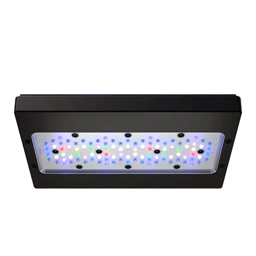 Ecotech Marine Radion Lighting