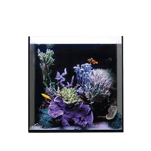 IceCap Aquariums