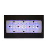 Reef Lighting