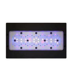Reef Lighting