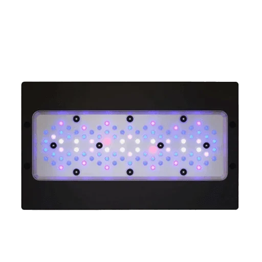 Aquarium Lighting