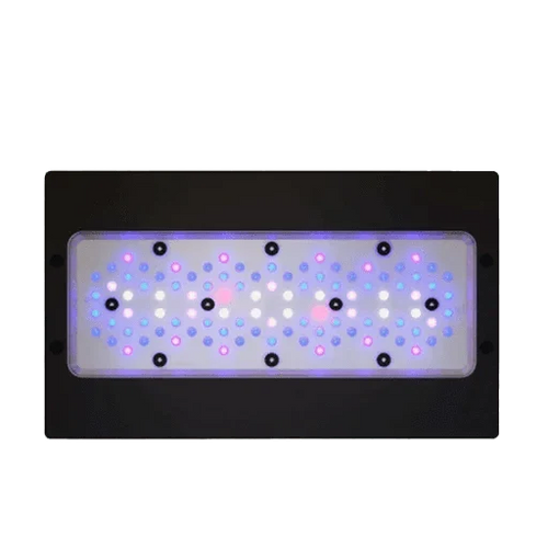 Aquarium Lighting