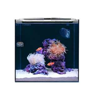 Nano Aquariums