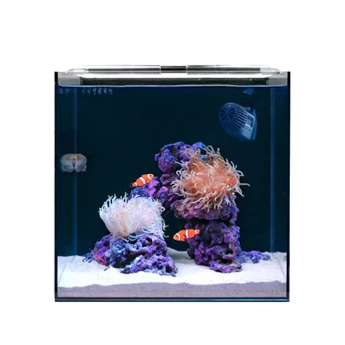 Nano Aquariums