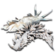 Nudibranch