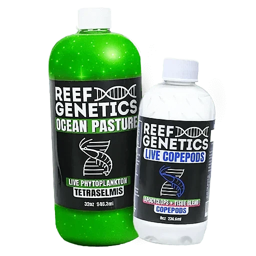 Aquacultured Live Feeds