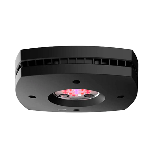 Refugium Lights