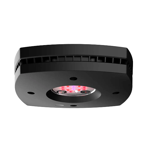 Refugium Lights