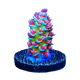 WYSIWYG Corals
