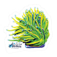 TSA Holy Grail Torch Sticker - Top Shelf Aquatics