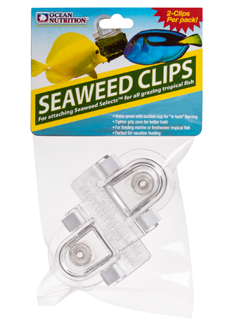 Seaweed Clip - Ocean Nutrition - Ocean Nutrition