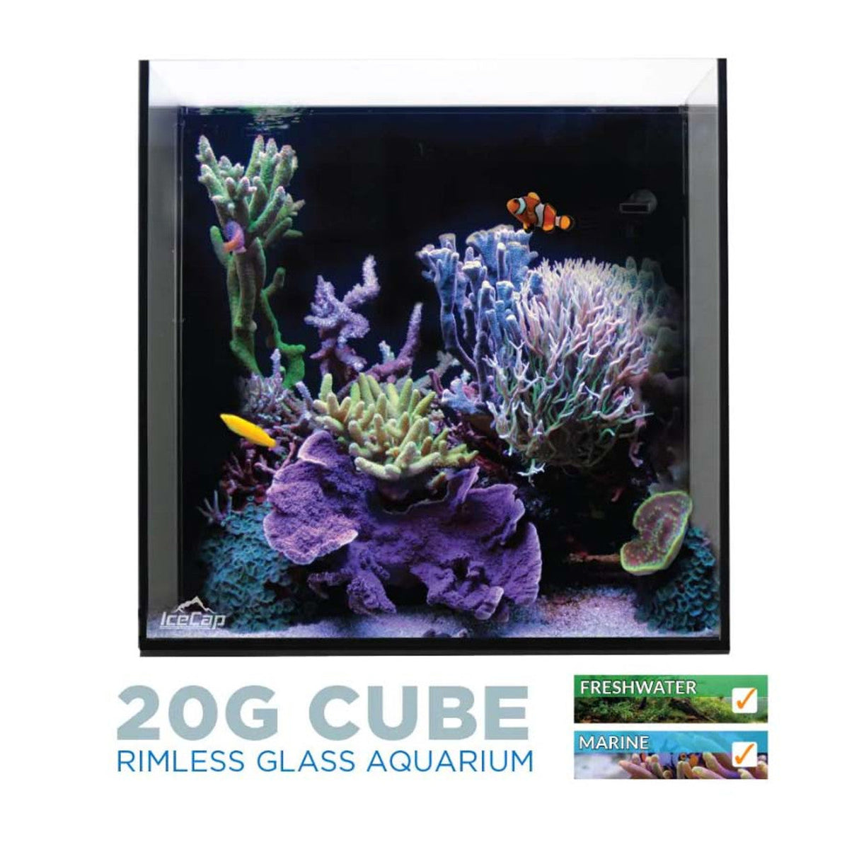 20 Gallon Cube AIO Aquarium - IceCap