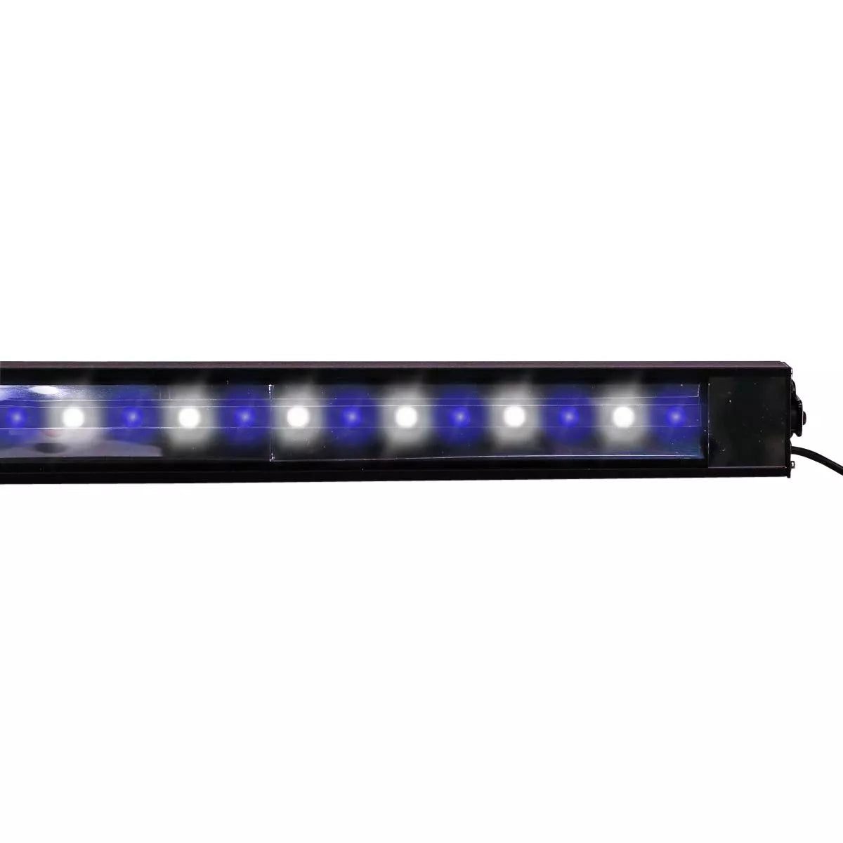 Reef Brite 72" 50/50 XHO LED Strip Light